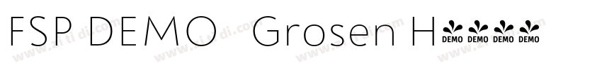 FSP DEMO   Grosen H字体转换